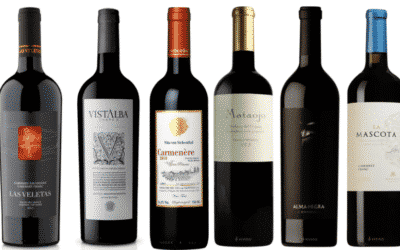 Melhores vinhos tintos: meus favoritos de 2020