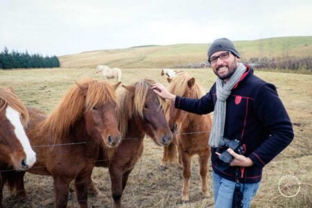 Marcos com os adoráveis cavalos islandeses.