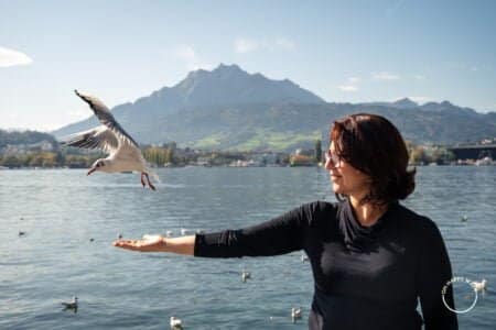 Pássaro no lago Lucerna