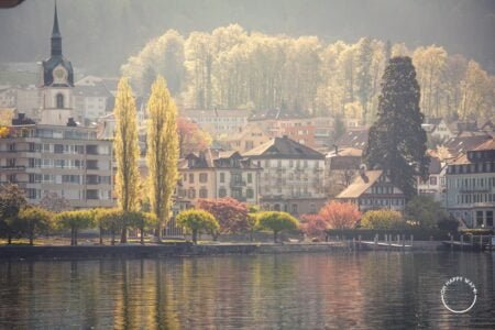 Árvores e prédios à beira do lago Lucerna