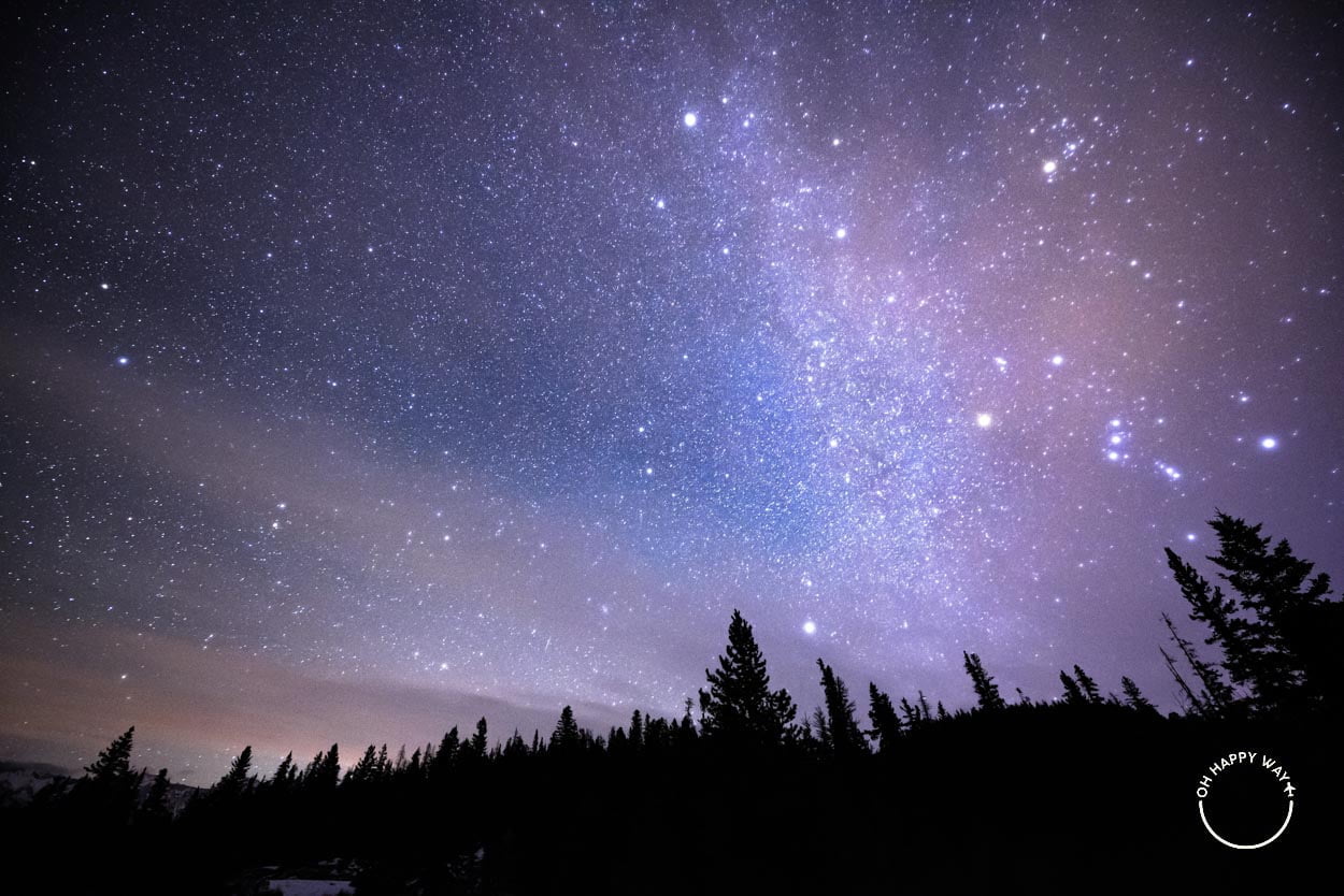 Chuva de meteoros Geminídeas: Silhueta de árvores e céu estrelado em Jasper.