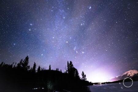 Chuva de meteoros Geminídeas: silhueta de árvores e céu estrelado em Jasper.