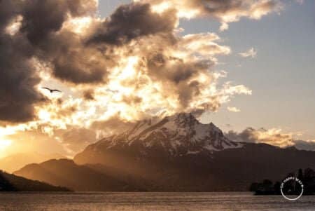 Pássaro e pôr do sol no lago Lucerna, Suíça