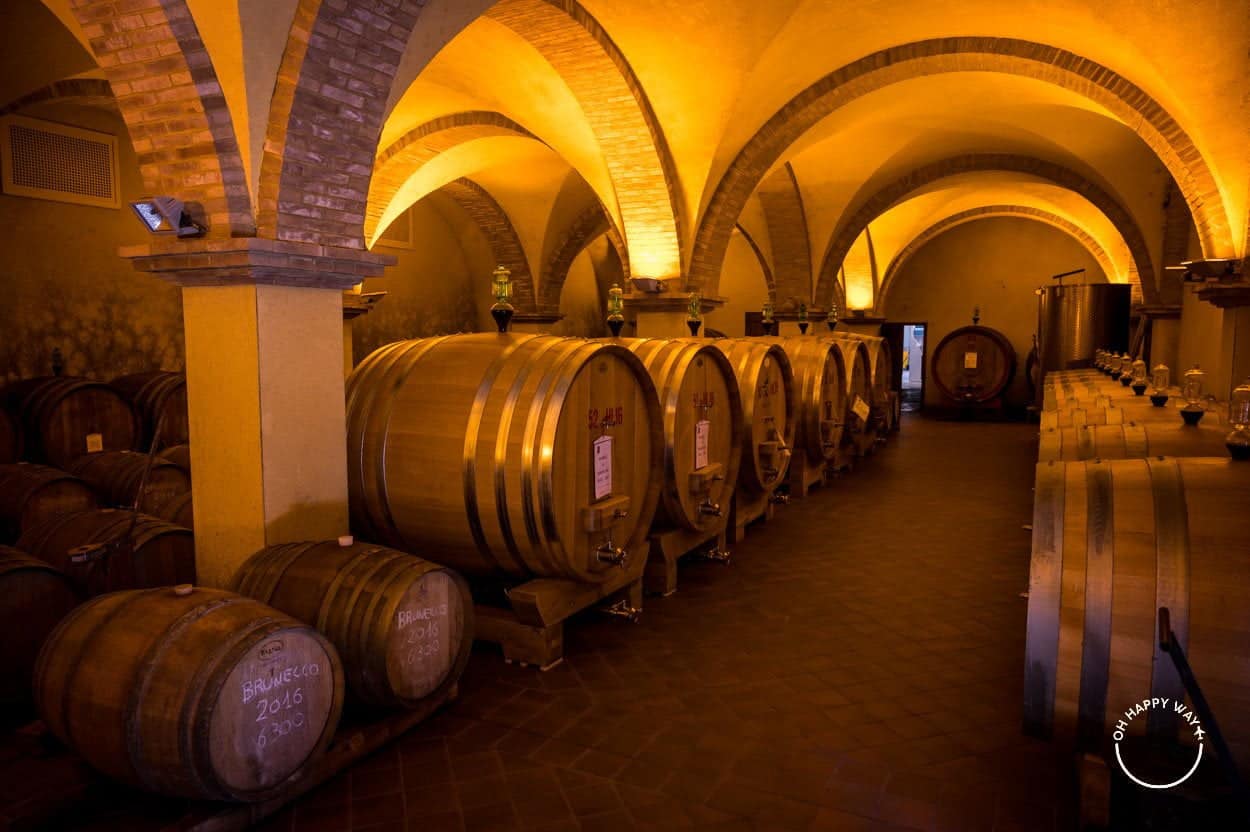 Vinhos da Toscana: Barricas de vinho na vinícola Patrizia Cencioni.