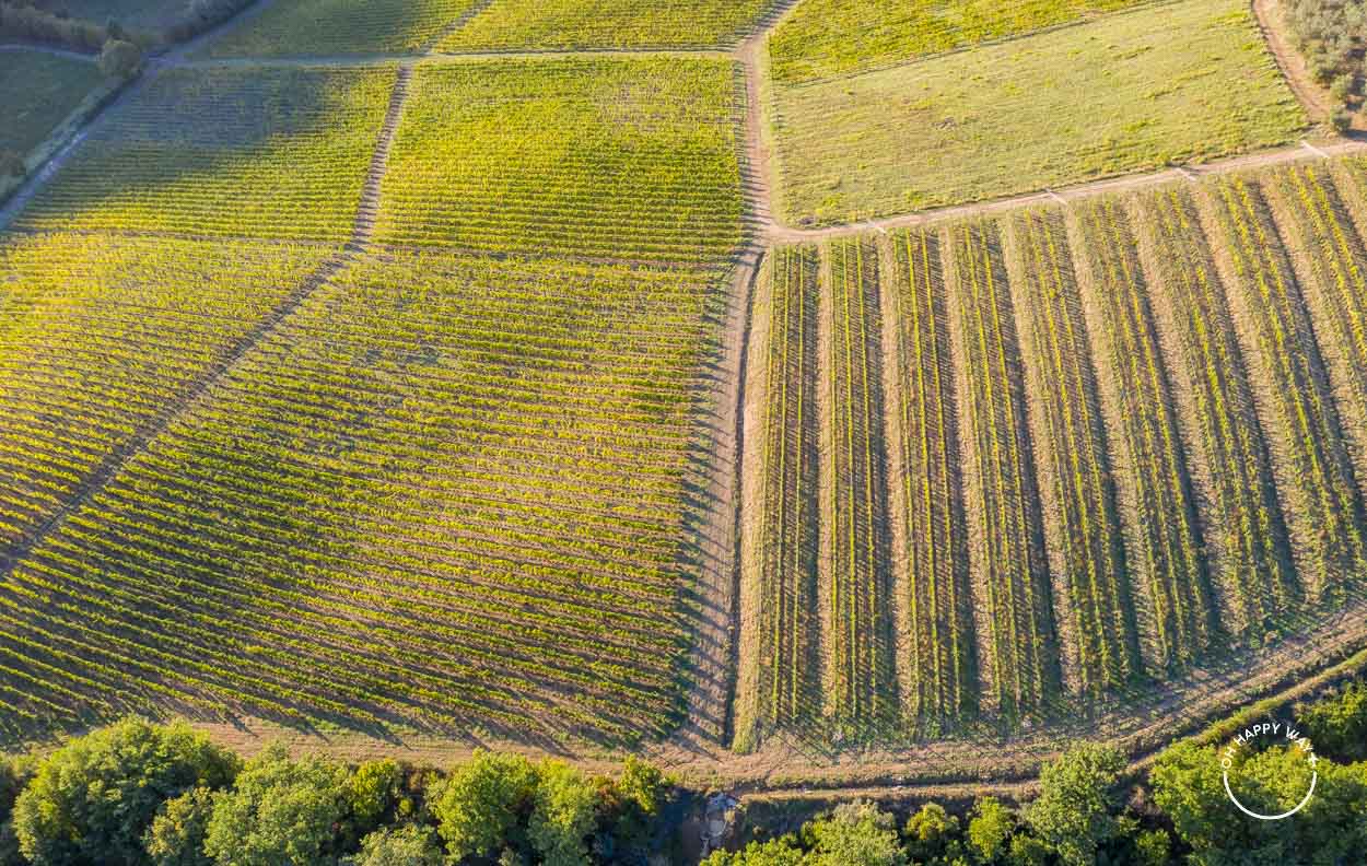 Vinhos da Toscana: Vista aérea de vinícola na Toscana, Itália.