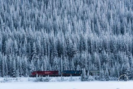 Dica de fotografia: Trem da Canadian Pacific passando entre árvores ao lado da Rodovia Trans-Canadá.