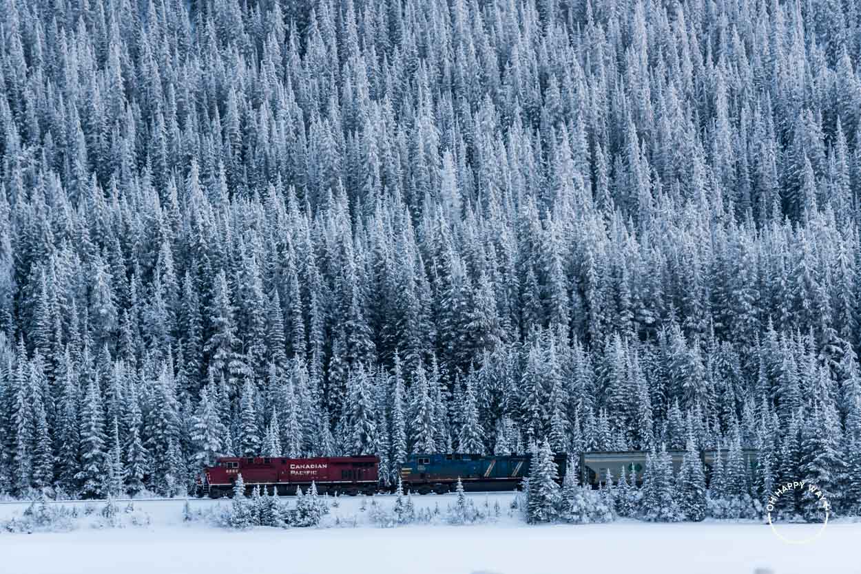 Trem da Canadian Pacific passando entre árvores ao lado da Rodovia Trans-Canadá.