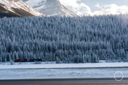 Trem passando ao lado da rodovia Trans-Canadá.