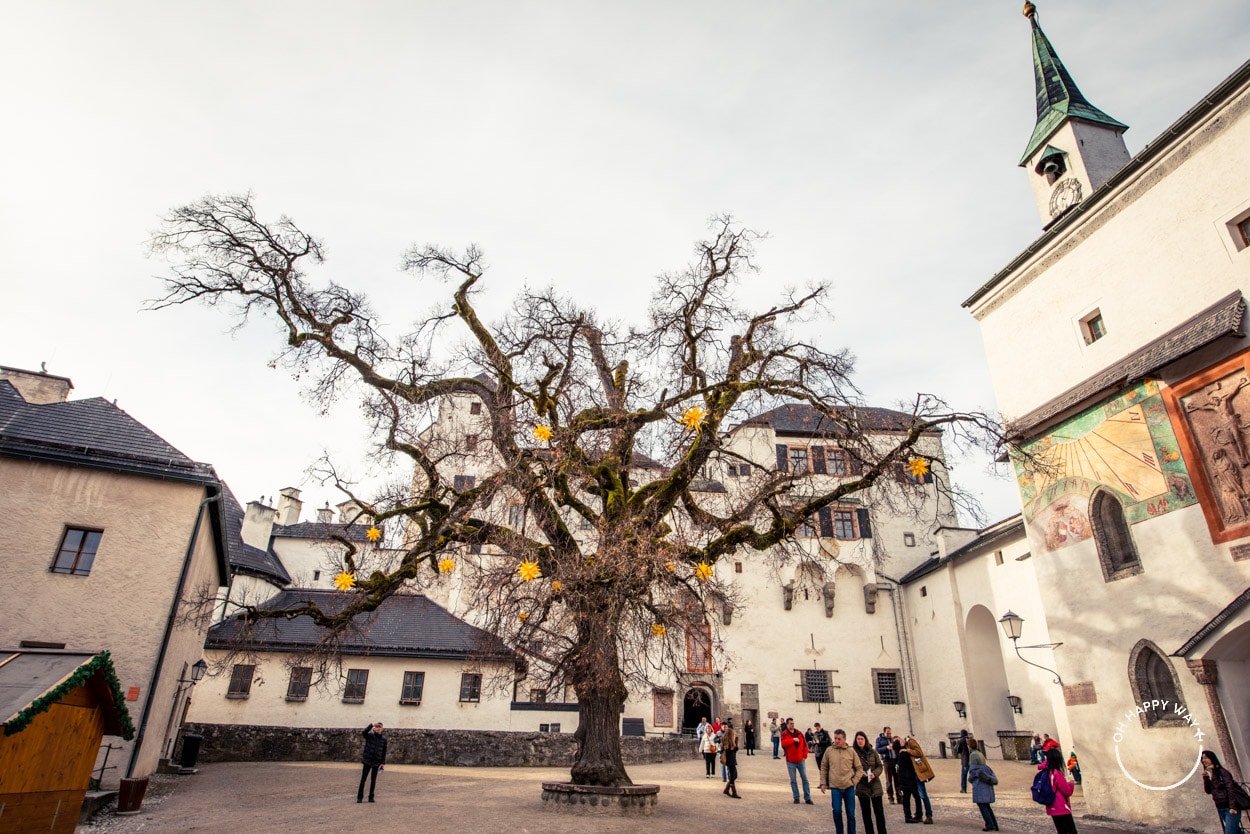 Árvore da fortaleza Hohensalzburg, em Salzburgo