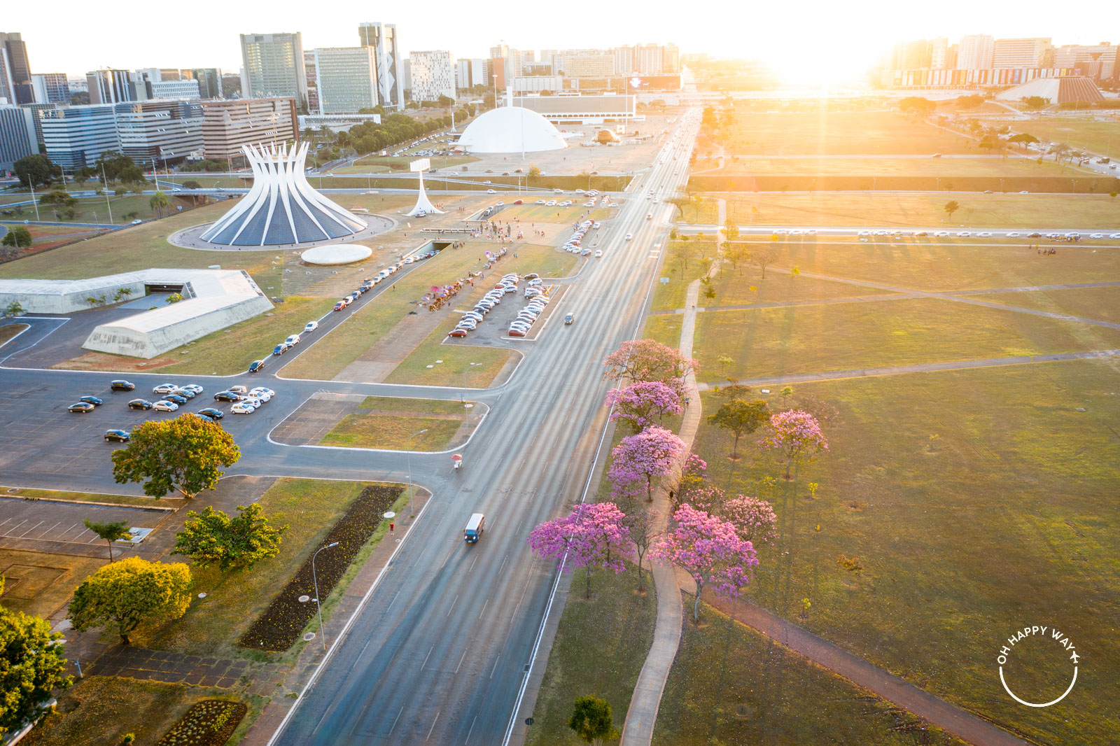 6 lugares para aproveitar os lindos ipês em Brasília