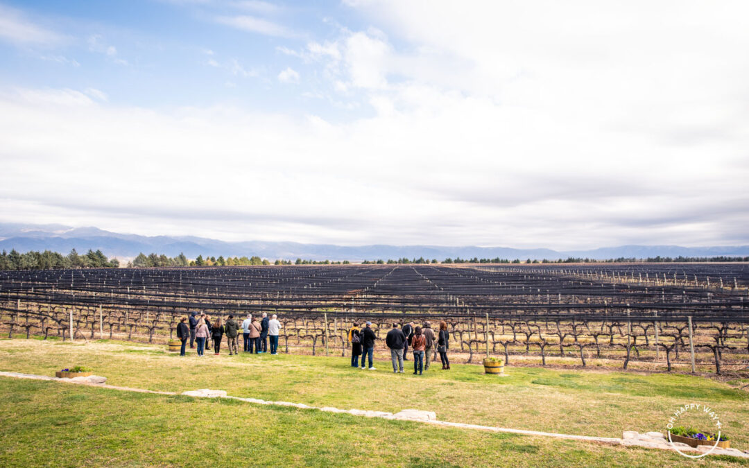 O que fazer em Mendoza: 5 motivos para conhecer a cidade e as vinícolas