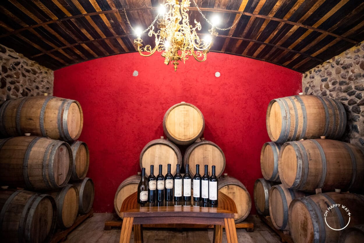 Vinhos e barricas de carvalho na vinícola El Enemigo