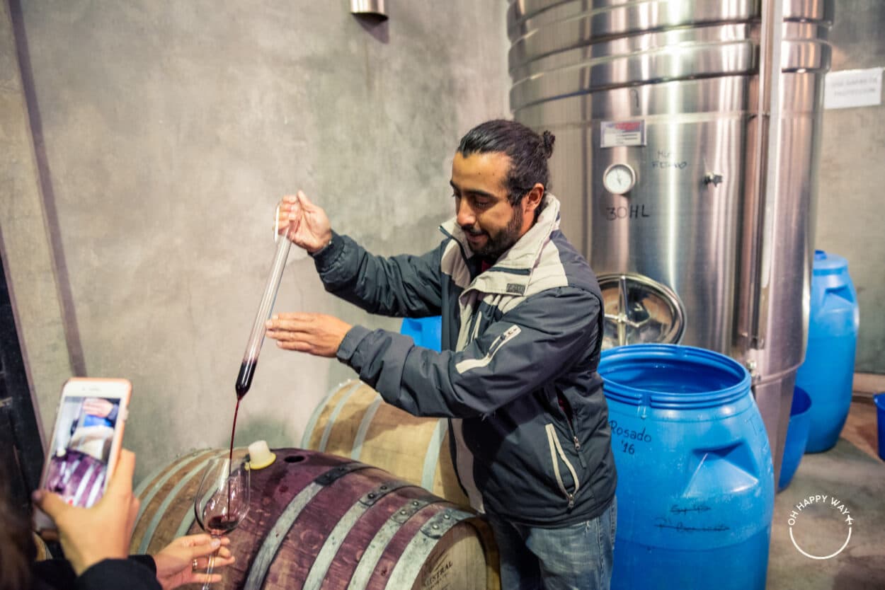 O que fazer em Mendoza: Tomando vinho direto da barrica na vinícola La Azul