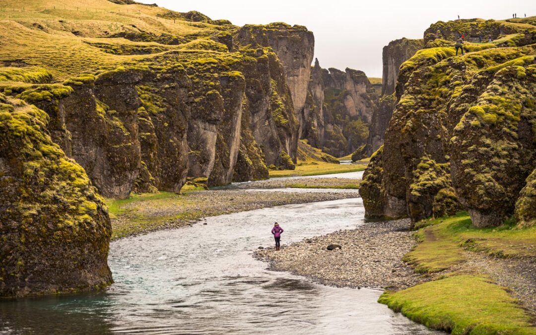 Fjaðrárgljúfur: o canyon na Islândia que você precisa conhecer