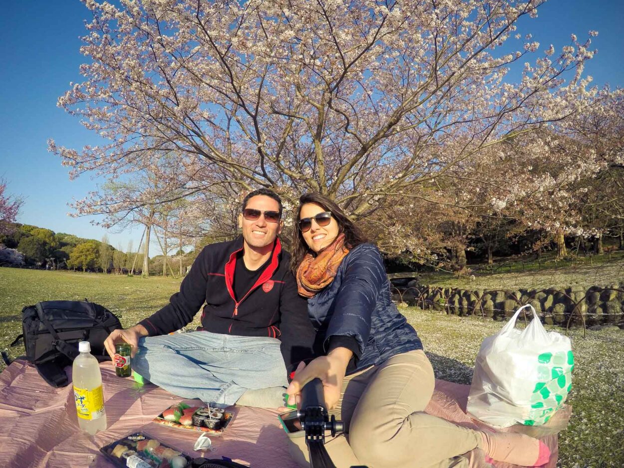 O que fazer no Japão: Hanami sob a cerejeira