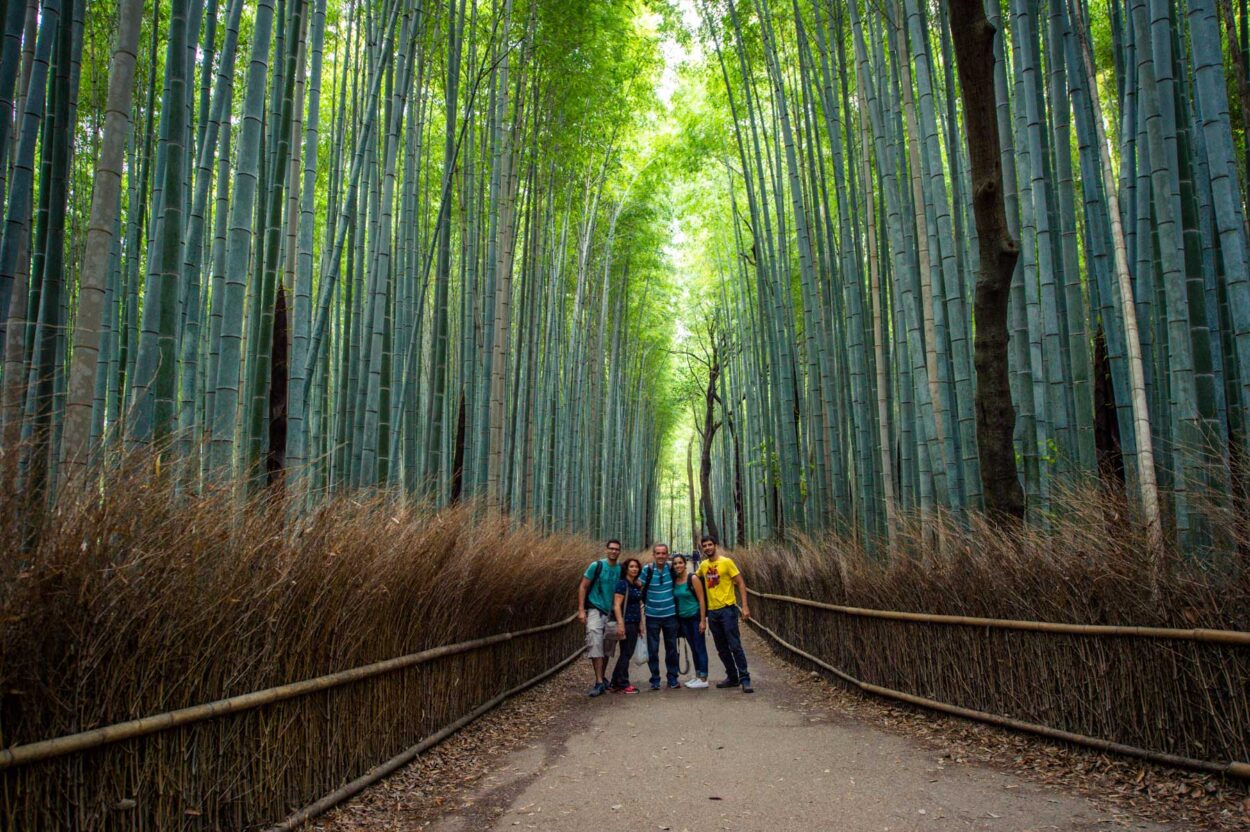 Família na floresta de bambus em Arashiyama, Kyoto.