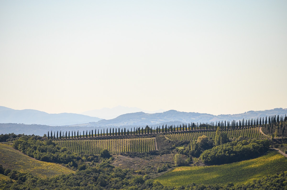 Linda paisagem na Toscana, perto de Montalcino.