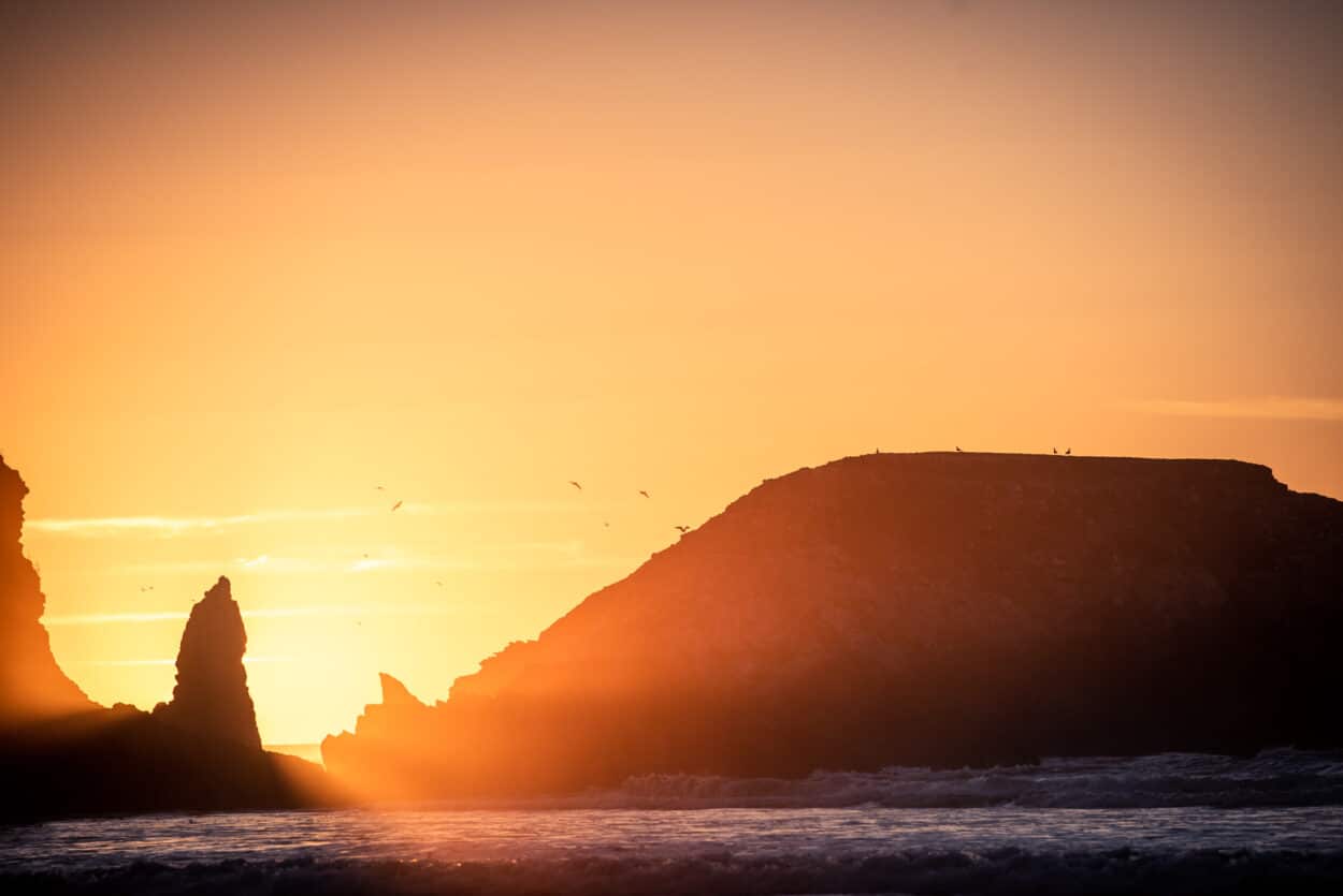 Sand Dollar Beach