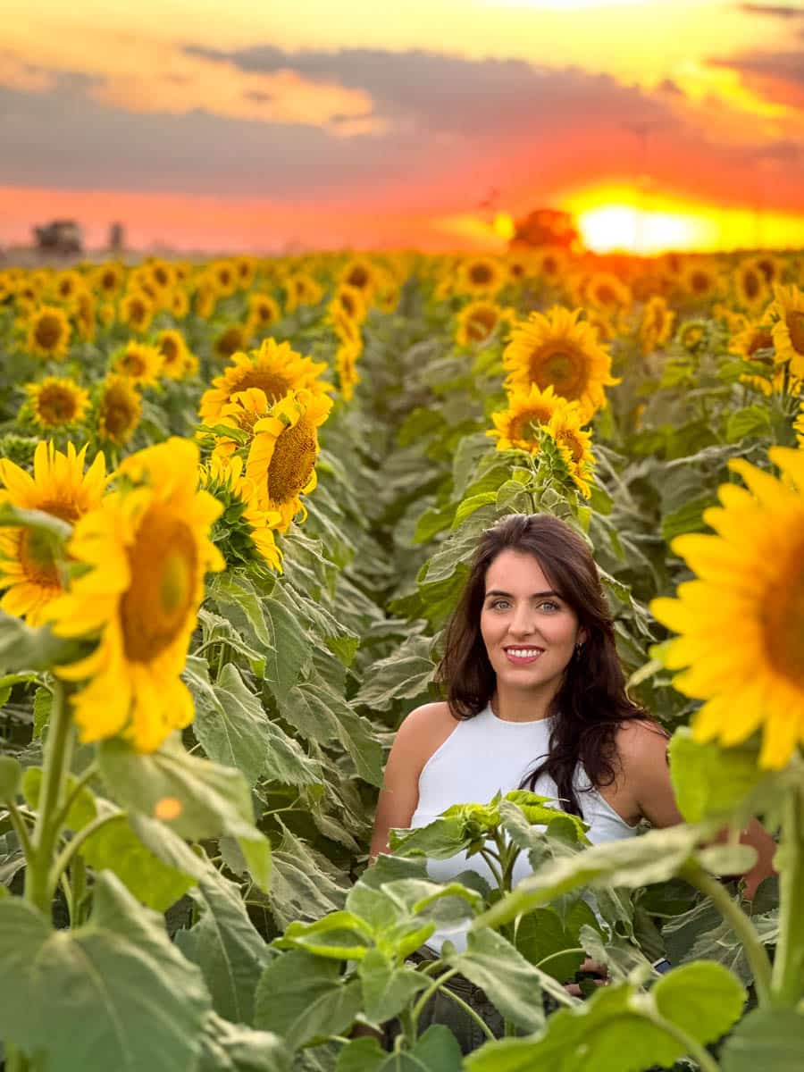 Exemplo de como tirar fotos boas com celular: Bruna em um campo de girassol